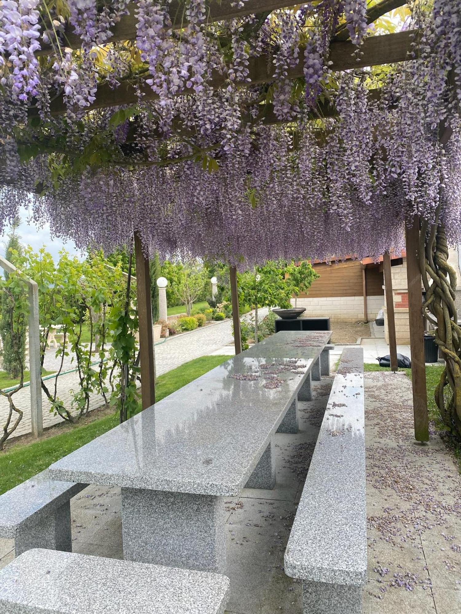 Gites Des Sablons Chatillon-sur-Marne Bagian luar foto